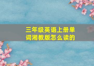 三年级英语上册单词湘教版怎么读的