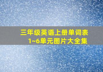 三年级英语上册单词表1~6单元图片大全集