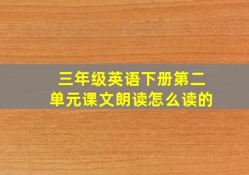 三年级英语下册第二单元课文朗读怎么读的