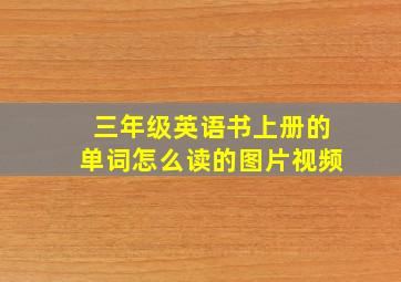 三年级英语书上册的单词怎么读的图片视频