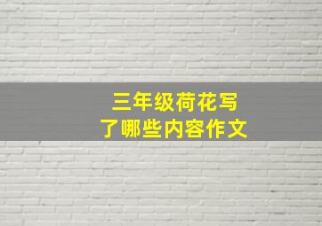 三年级荷花写了哪些内容作文