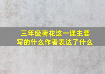 三年级荷花这一课主要写的什么作者表达了什么