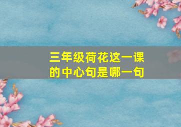 三年级荷花这一课的中心句是哪一句