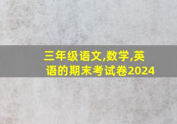 三年级语文,数学,英语的期末考试卷2024