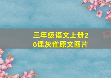 三年级语文上册26课灰雀原文图片