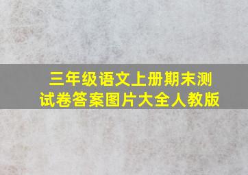 三年级语文上册期末测试卷答案图片大全人教版