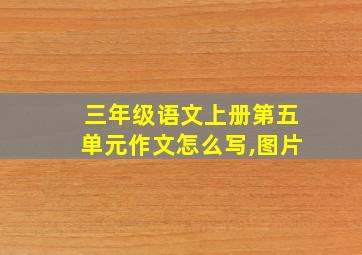 三年级语文上册第五单元作文怎么写,图片