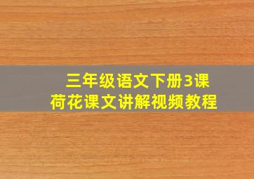 三年级语文下册3课荷花课文讲解视频教程