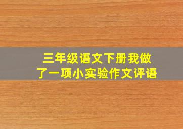 三年级语文下册我做了一项小实验作文评语