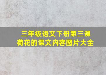 三年级语文下册第三课荷花的课文内容图片大全