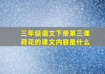 三年级语文下册第三课荷花的课文内容是什么