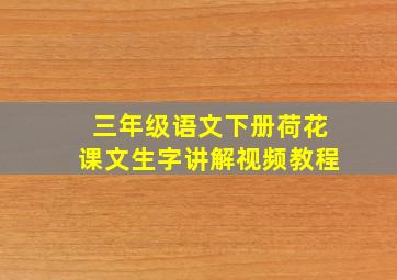 三年级语文下册荷花课文生字讲解视频教程