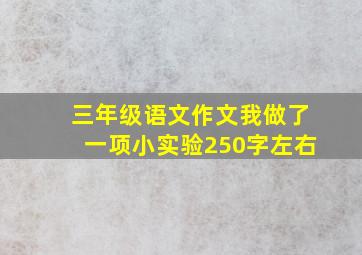 三年级语文作文我做了一项小实验250字左右