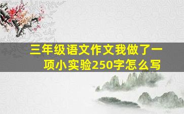 三年级语文作文我做了一项小实验250字怎么写