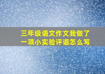 三年级语文作文我做了一项小实验评语怎么写