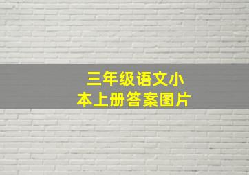 三年级语文小本上册答案图片