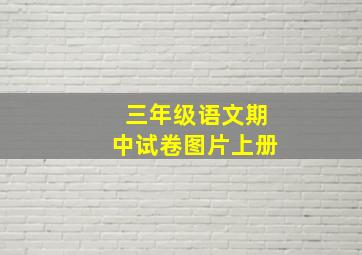 三年级语文期中试卷图片上册