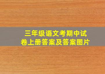 三年级语文考期中试卷上册答案及答案图片