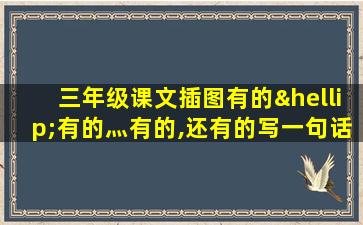 三年级课文插图有的…有的灬有的,还有的写一句话