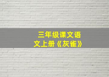 三年级课文语文上册《灰雀》