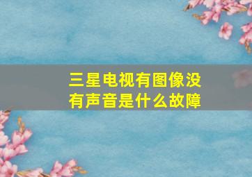 三星电视有图像没有声音是什么故障