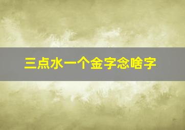 三点水一个金字念啥字