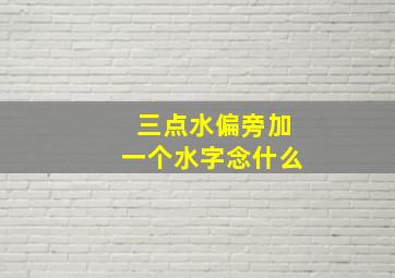 三点水偏旁加一个水字念什么