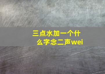 三点水加一个什么字念二声wei