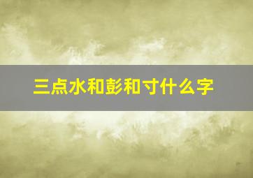 三点水和彭和寸什么字