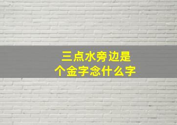 三点水旁边是个金字念什么字