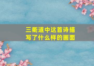 三衢道中这首诗描写了什么样的画面