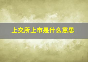 上交所上市是什么意思