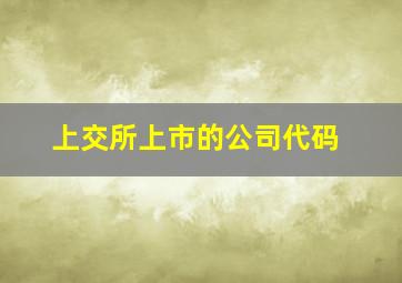 上交所上市的公司代码