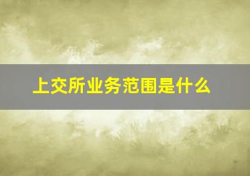 上交所业务范围是什么