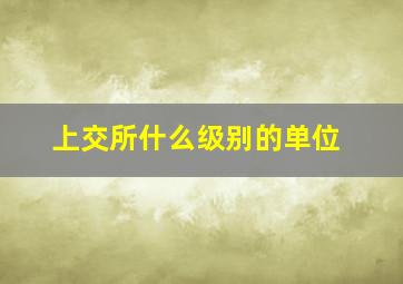 上交所什么级别的单位