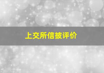 上交所信披评价