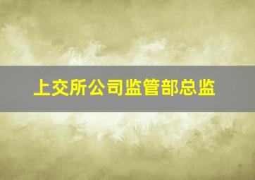 上交所公司监管部总监