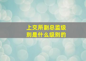 上交所副总监级别是什么级别的