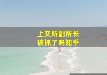 上交所副所长被抓了吗知乎