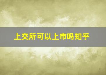 上交所可以上市吗知乎