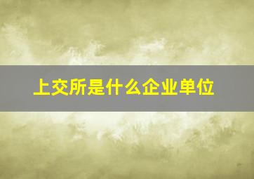 上交所是什么企业单位