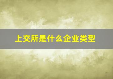 上交所是什么企业类型