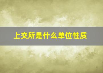 上交所是什么单位性质