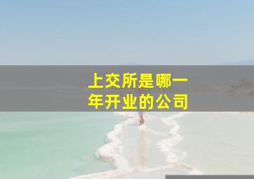 上交所是哪一年开业的公司