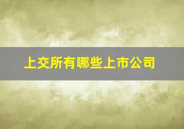 上交所有哪些上市公司