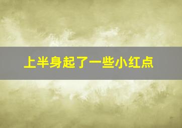 上半身起了一些小红点