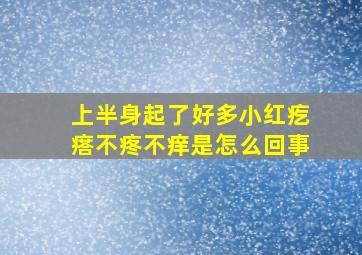 上半身起了好多小红疙瘩不疼不痒是怎么回事