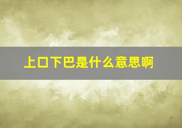 上口下巴是什么意思啊