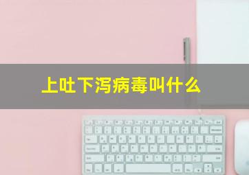 上吐下泻病毒叫什么