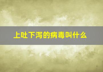 上吐下泻的病毒叫什么